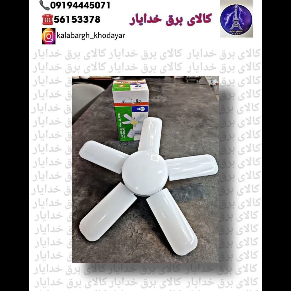 1692512661600.webp