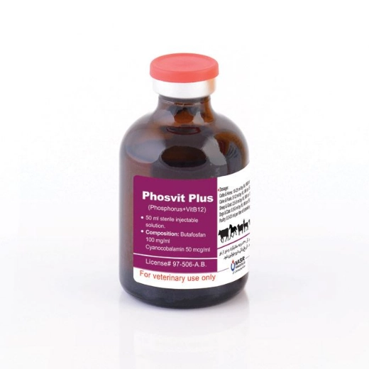 1696681773704.webp 1696681773704.webp