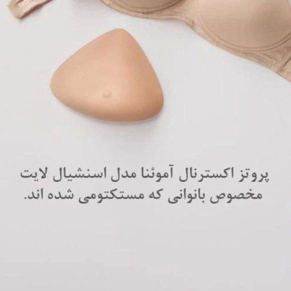 1701859134427.webp
