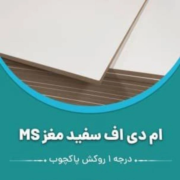 1703311851202.webp