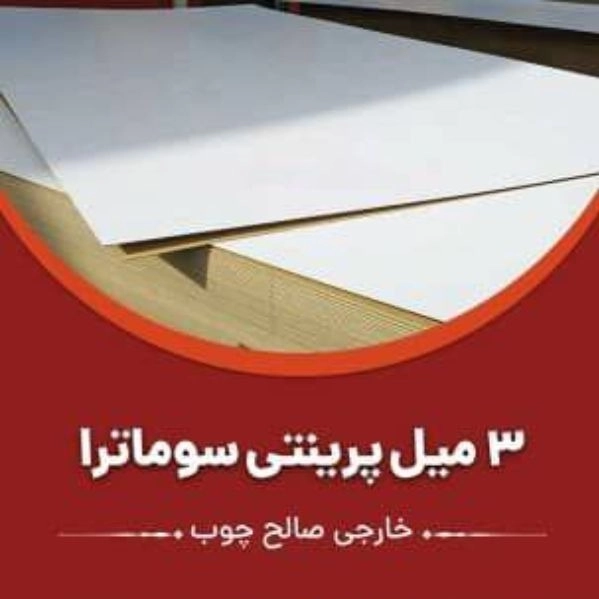 1703312065084.webp