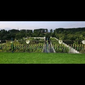1716615652219.webp