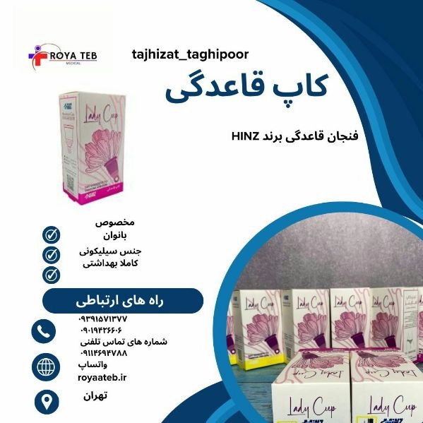 1717571699071.webp