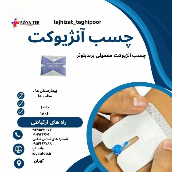 1717572282337.webp