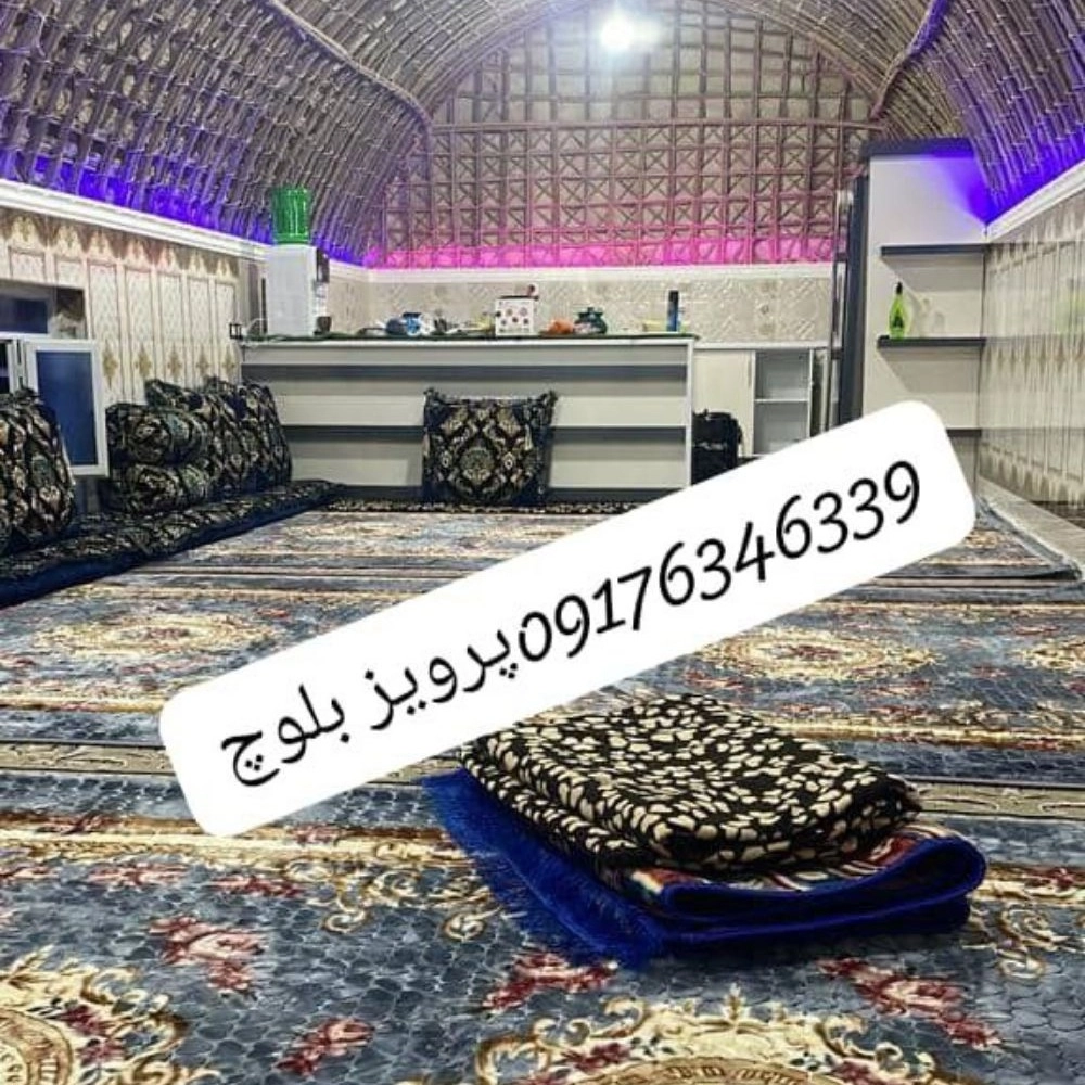 1738482518046.webp