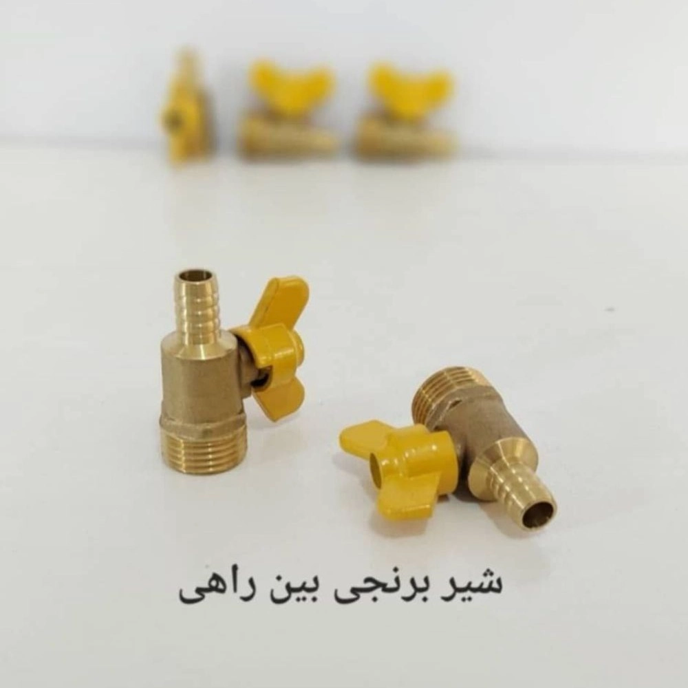 1738655482251.webp