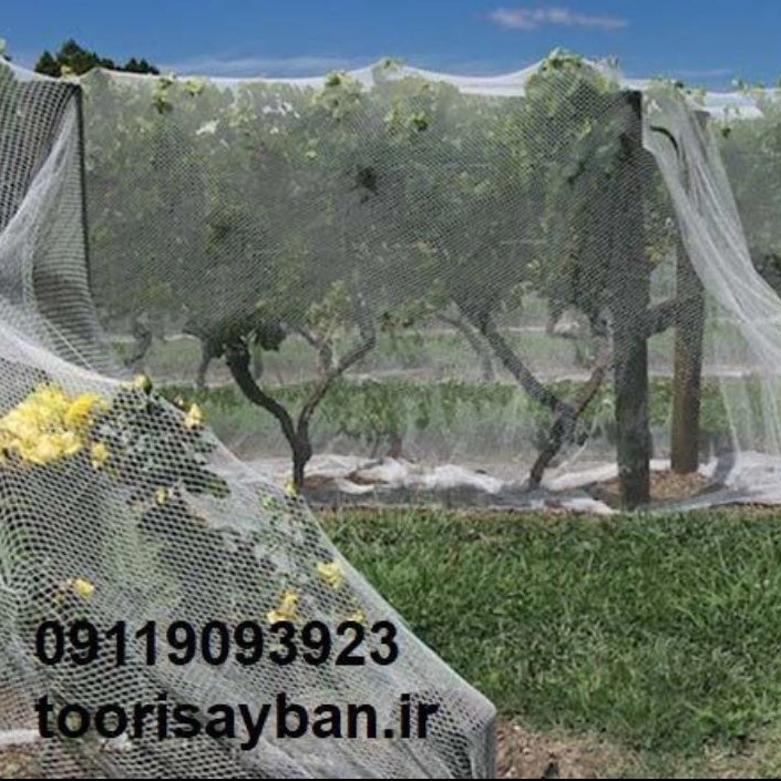 1739340945905.webp