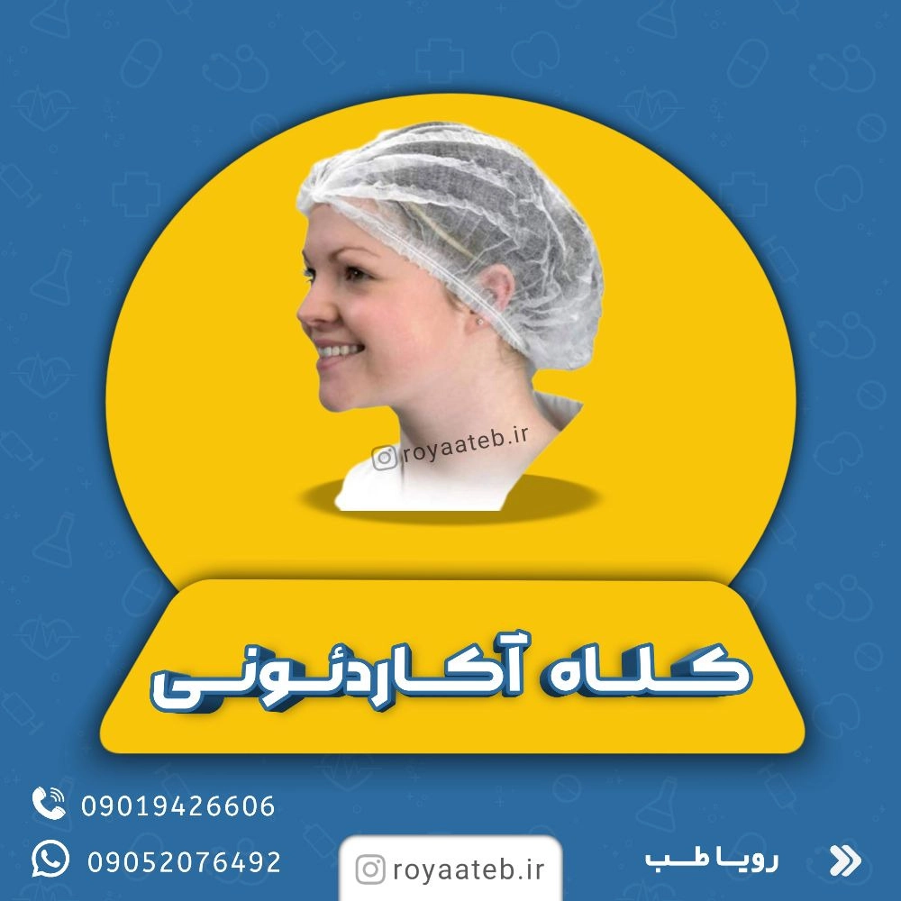 1748934730438.webp