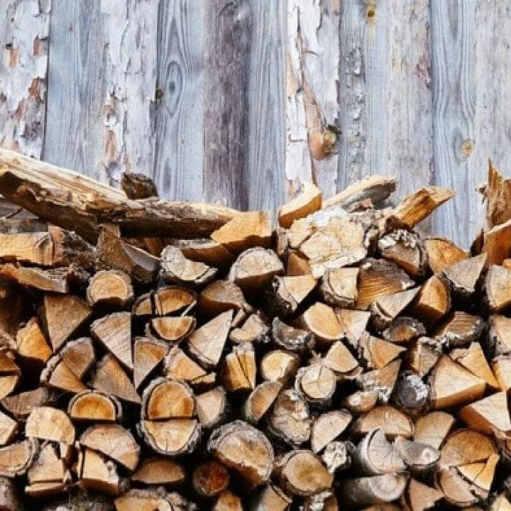گروه صنعتی هنری درخت در مشهد