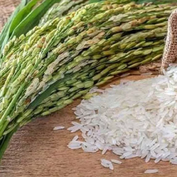 گروه تولیدی برنج احمدنیا