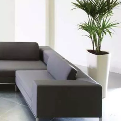 شرکت تولیدات صنایع دستی هنر چوب  در تبریز