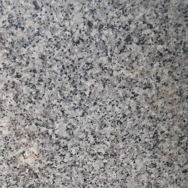 1688209858363.webp