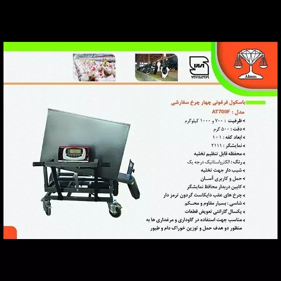 1689572394131.webp