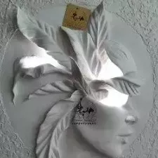 1689842331669.webp