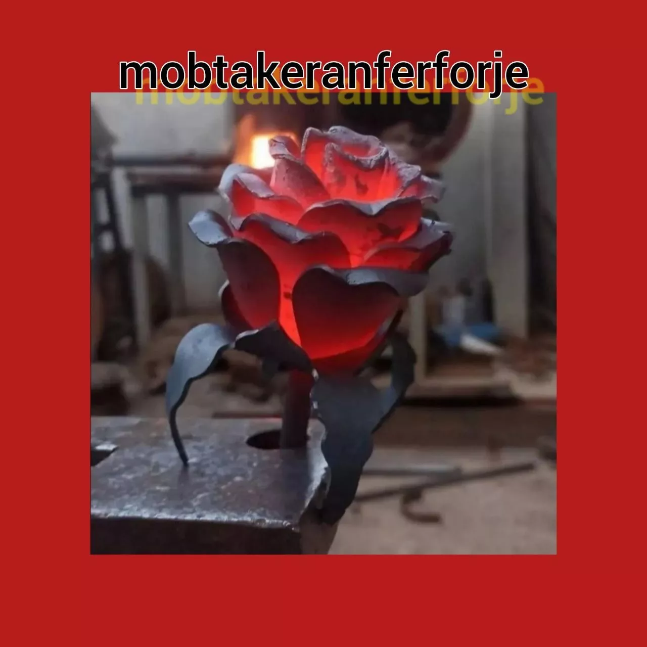 1693642020989.webp