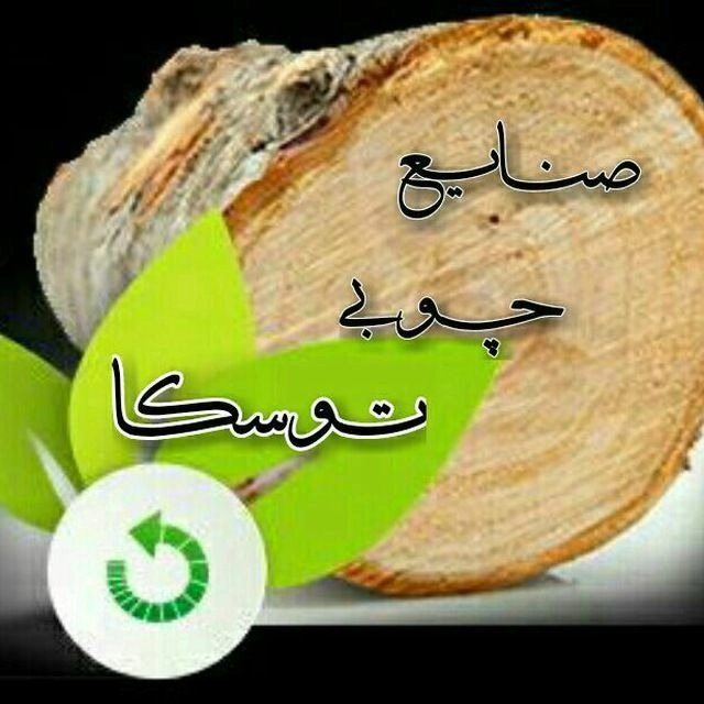 فروش چوب ایرانی و روسی صنایع چوب توسکا در مشهد