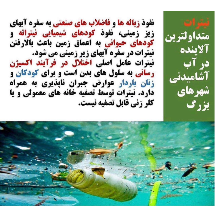 1697438143300.webp