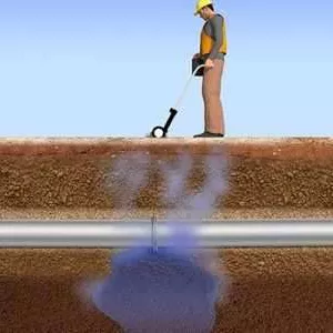 1697452681321.webp