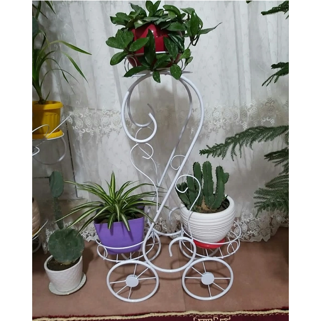 1698046509987.webp