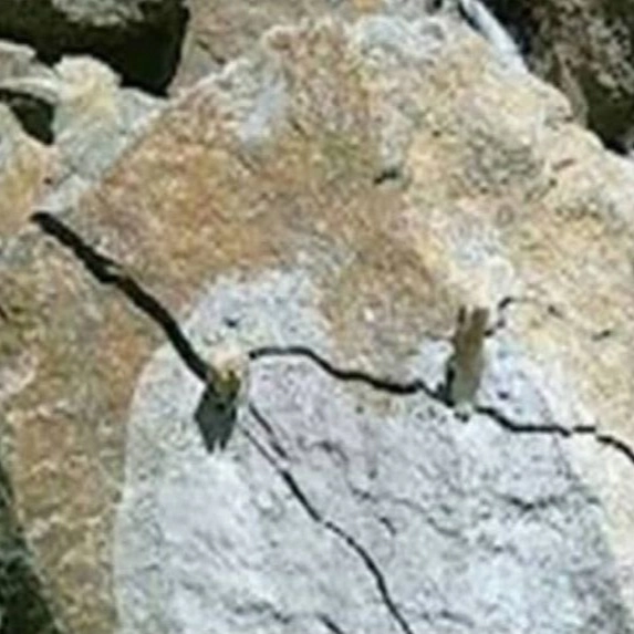 1698314216753.webp