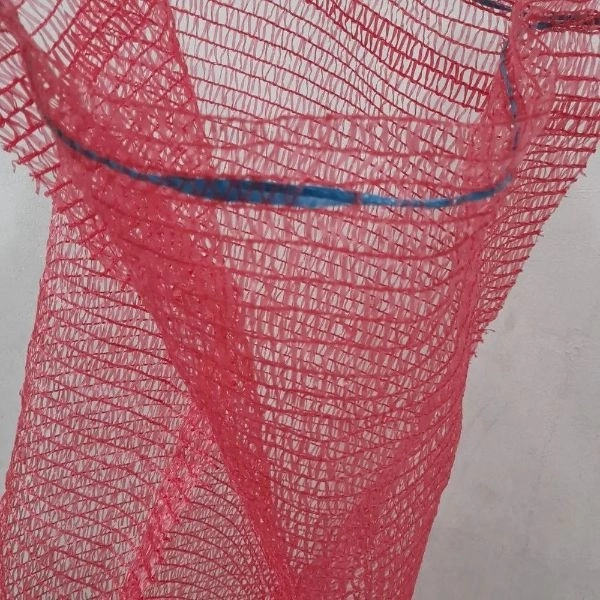 1698486111282.webp