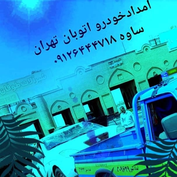 1698494317729.webp