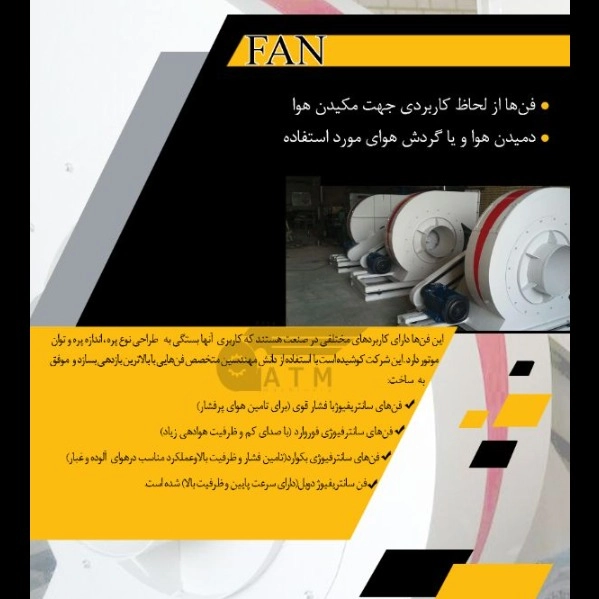 1698561769778.webp