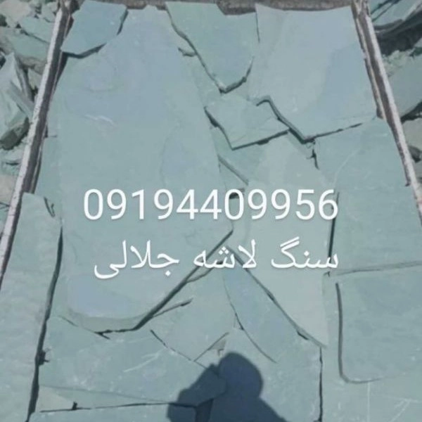 1698764944474.webp