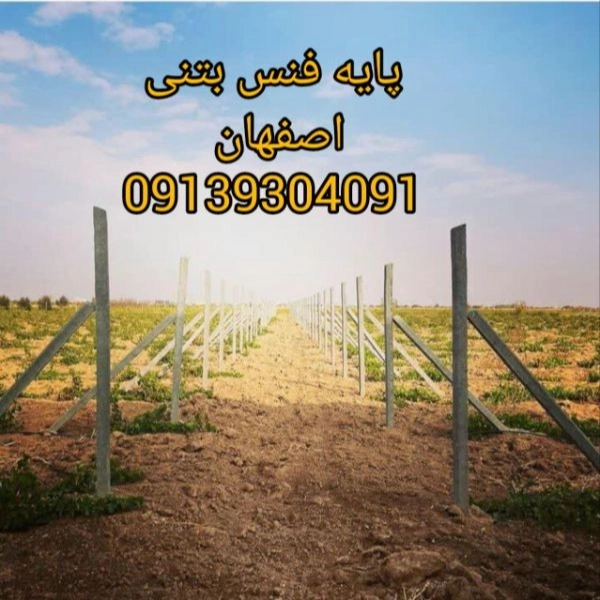 1698902631890.webp