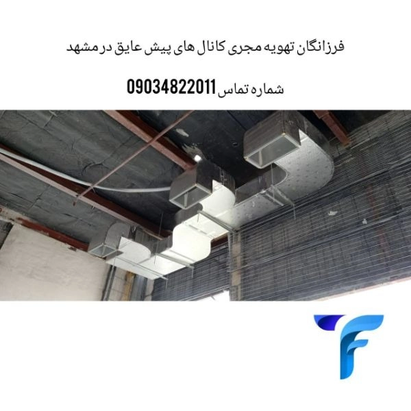1699336179751.webp