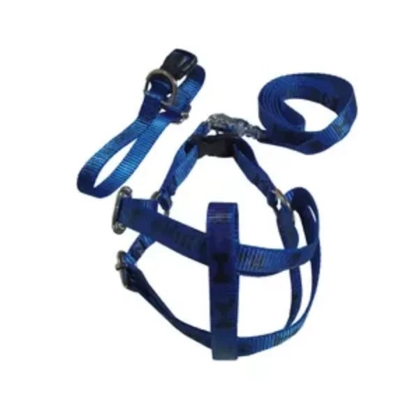 تولیدی قلاده و افسار قربان پور در گلستان