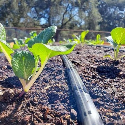 فروش لوله های پلی اتیلن و نوار تیپ آبیاری زارع نمایندگی رسمی پلی ران در مشهد