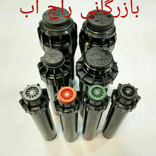 1699870507363.webp