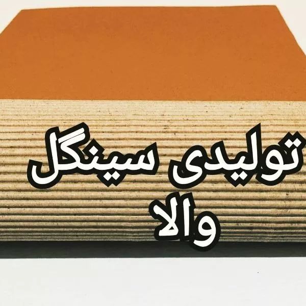 1699947835045.webp