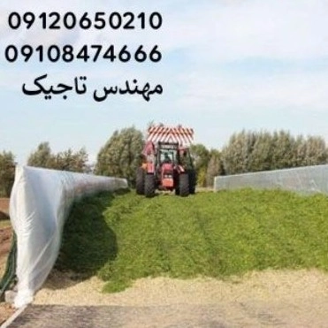 1700406349828.webp
