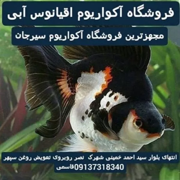 فروشگاه آکواریوم اقیانوس آبی سیرجان در سیرجان