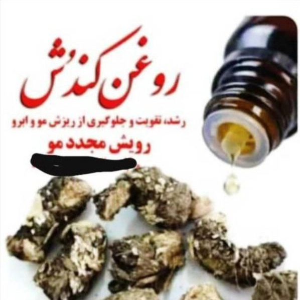 1700727697564.webp