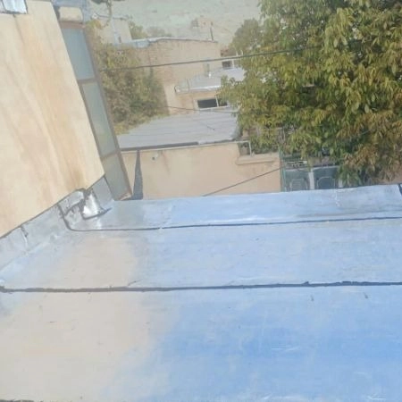 1701239795778.webp