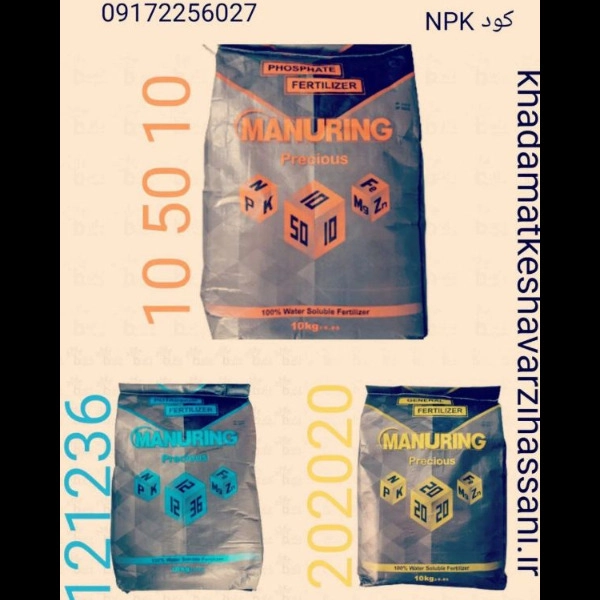 1701593590494.webp