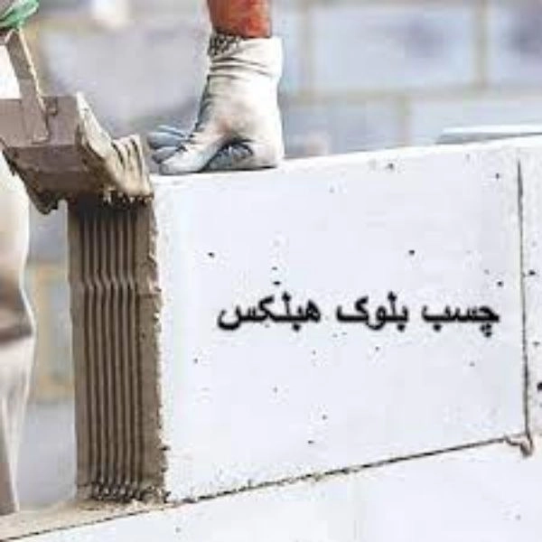1702184479931.webp