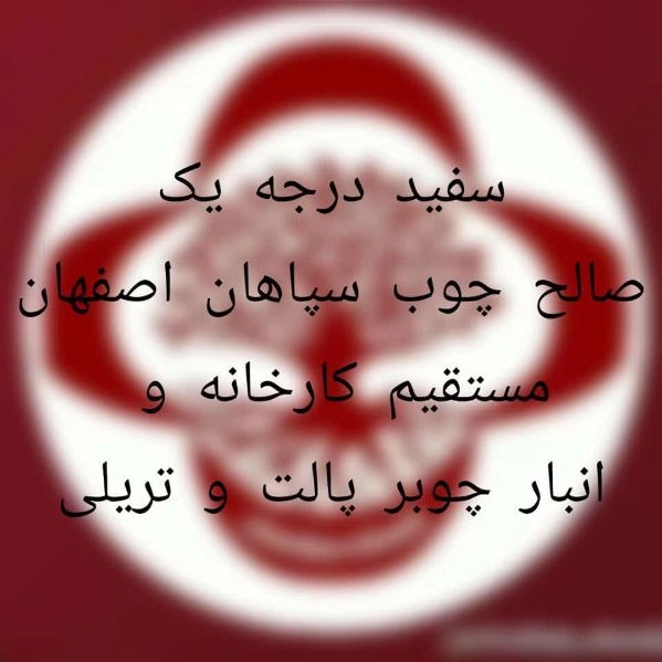 1703315001858.webp