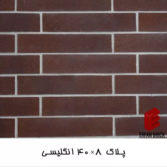 1704696443548.webp