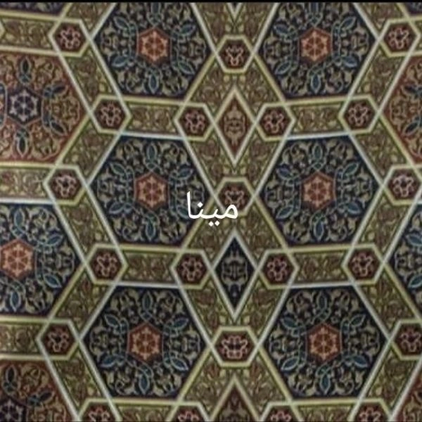 1706009738926.webp