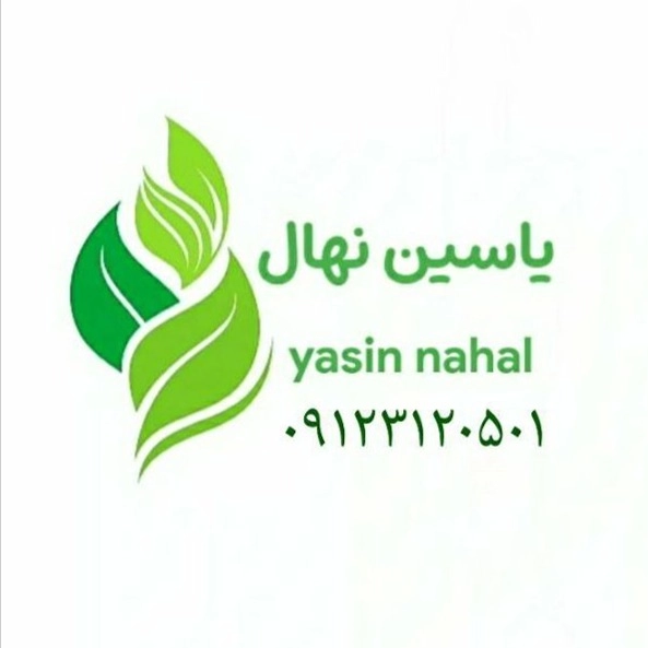 Damavand'da Yassin Kreş