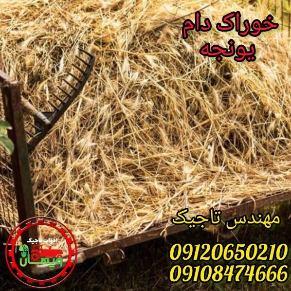 1706898022042.webp