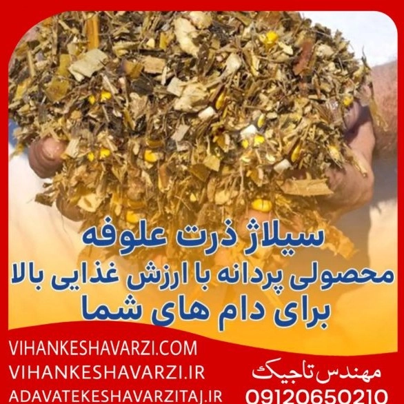 1706898157479.webp