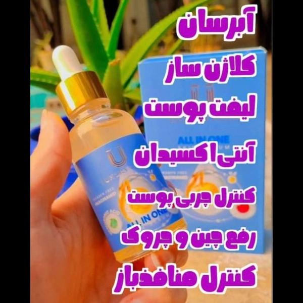 1707036612119.webp