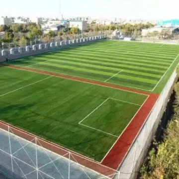 1707038968006.webp