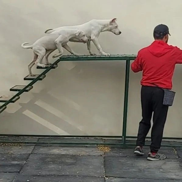 1707557498978.webp