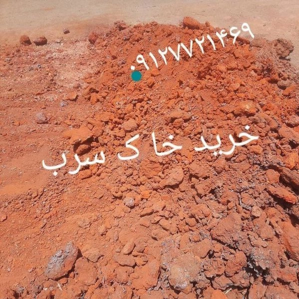 1707990761772.webp